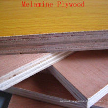 Decoration Plywood with Melamine Faced